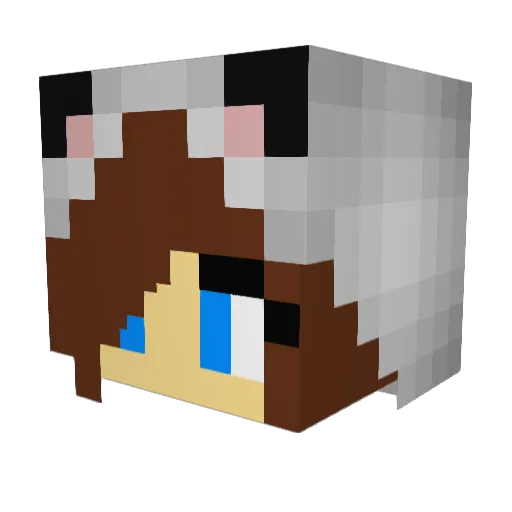 k1ttykatt Minecraft avatar head, 3D render