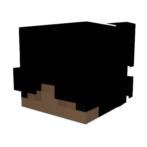 kBx20_ Minecraft avatar head, 3D render