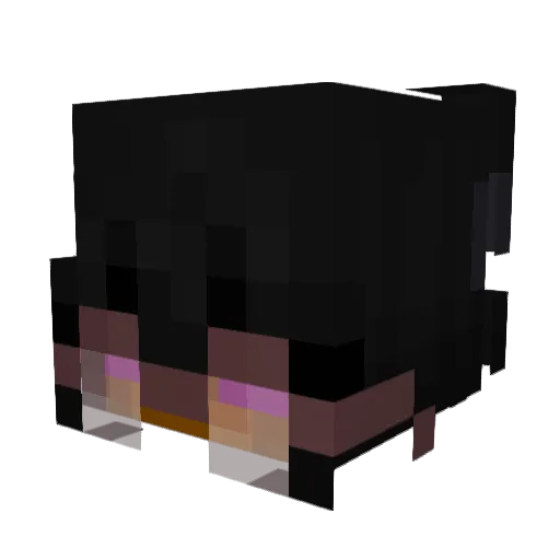 kCattzK2 Minecraft avatar head, 3D render