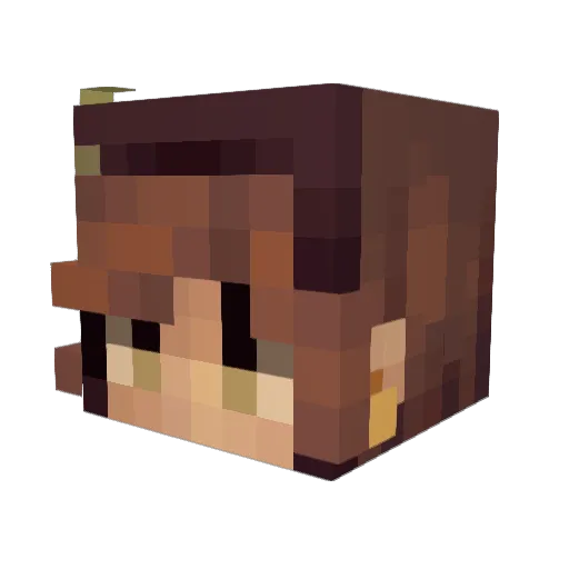 kDonohoe11 Minecraft avatar head, 3D render
