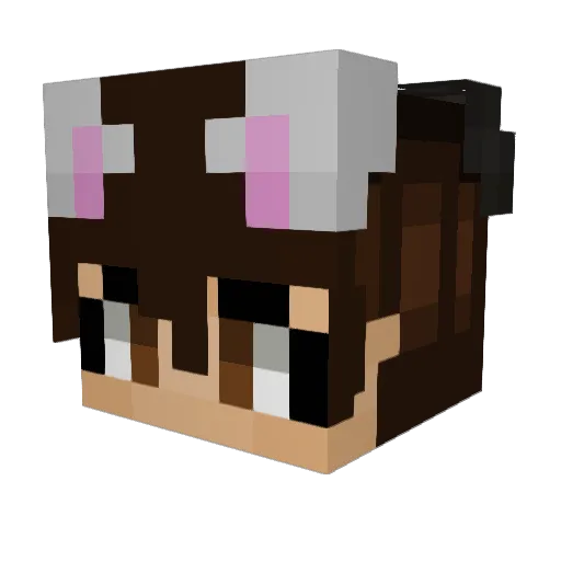 kLompiAFK9 Minecraft avatar head, 3D render
