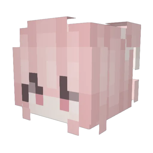 kN0way123 Minecraft avatar head, 3D render