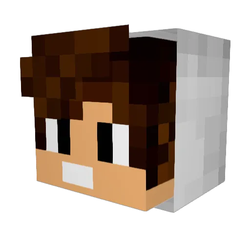 kWAUR Minecraft avatar head, 3D render