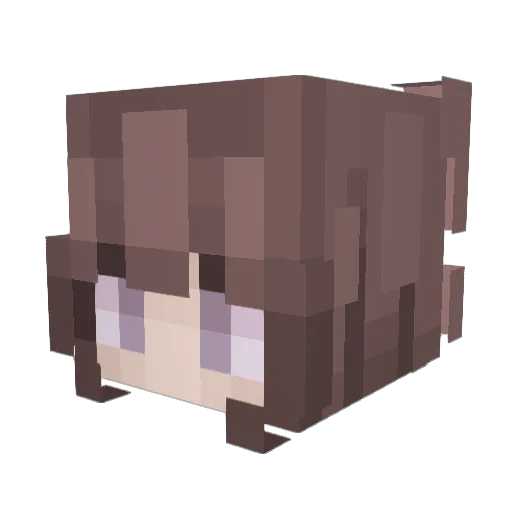 k_0al4 Minecraft avatar head, 3D render