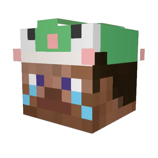 k_fp99 Minecraft avatar head, 3D render