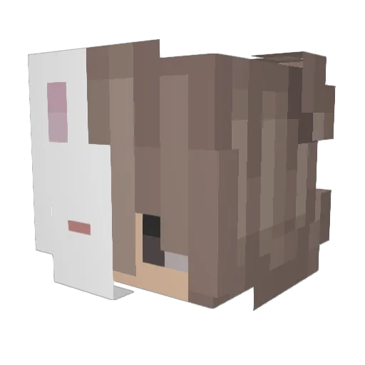 k_usm Minecraft avatar head, 3D render