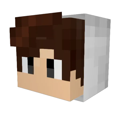 ka1te6 Minecraft avatar head, 3D render