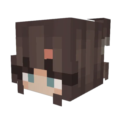 ka1zenn Minecraft avatar head, 3D render