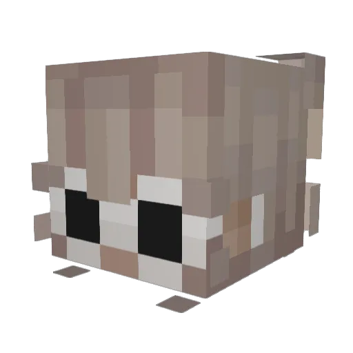kaacennka Minecraft avatar head, 3D render