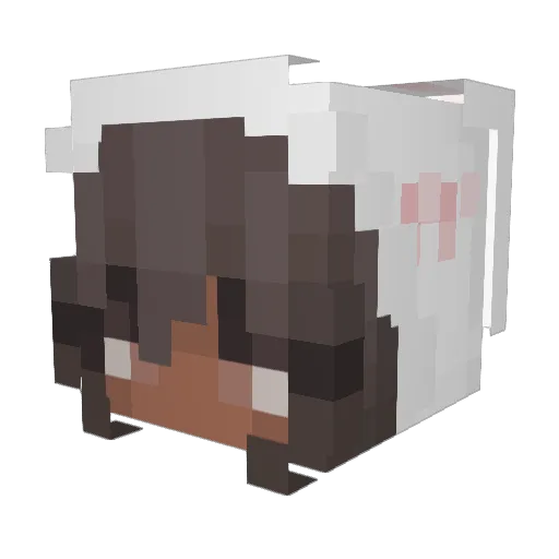 kaalypzo Minecraft avatar head, 3D render