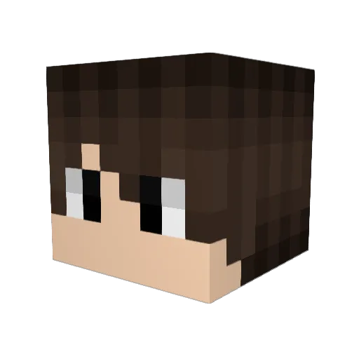 kaanksskk Minecraft avatar head, 3D render