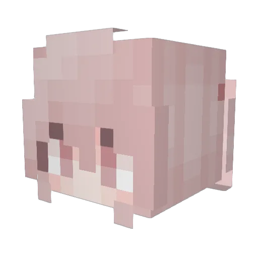 kaantxz Minecraft avatar head, 3D render
