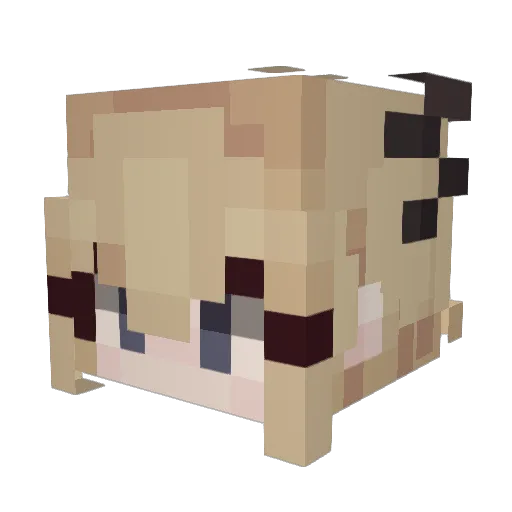 kaas267 Minecraft avatar head, 3D render