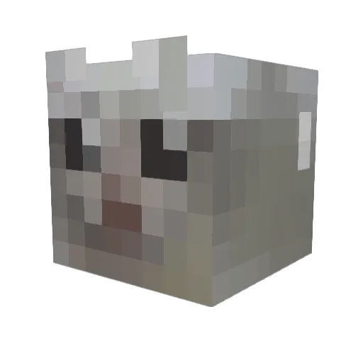 kaasbaas1 Minecraft avatar head, 3D render