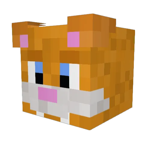 kaasboy Minecraft avatar head, 3D render