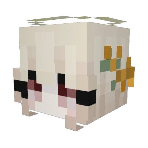 kaasstengelasf Minecraft avatar head, 3D render