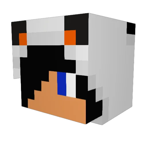 kaasterorist Minecraft avatar head, 3D render