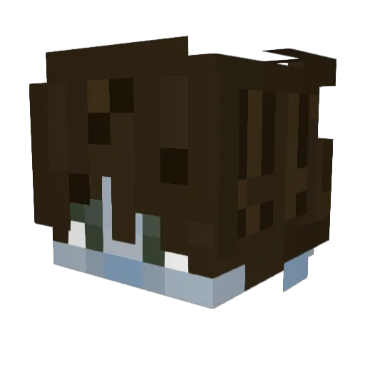 kaatiz Minecraft avatar head, 3D render