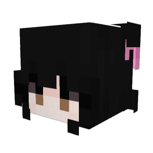 kabbagee Minecraft avatar head, 3D render