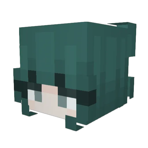 kachetitos Minecraft avatar head, 3D render