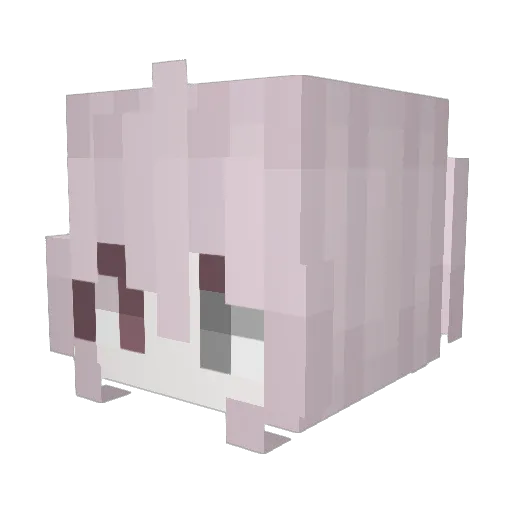 kacpew Minecraft avatar head, 3D render