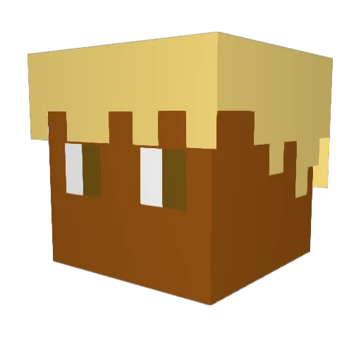 kacus421 Minecraft avatar head, 3D render