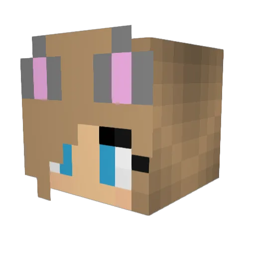 kacykoalas Minecraft avatar head, 3D render