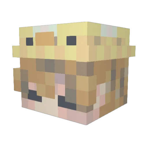 kaczerq Minecraft avatar head, 3D render