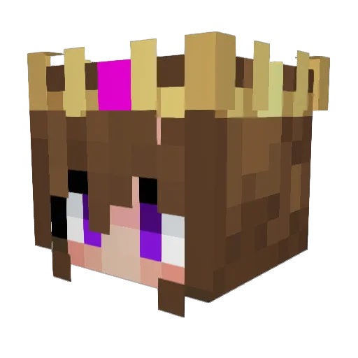 kaczka104 Minecraft avatar head, 3D render