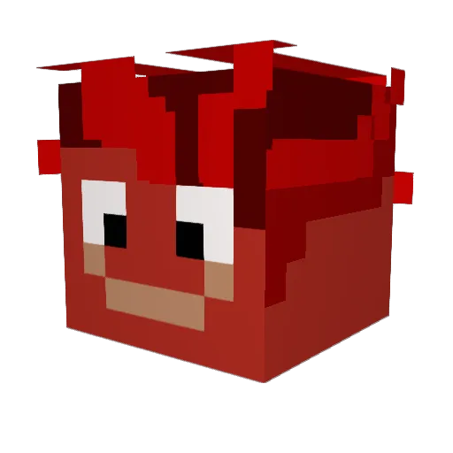 kaczka2016 Minecraft avatar head, 3D render