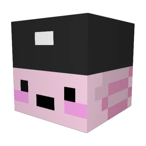 kador630 Minecraft avatar head, 3D render