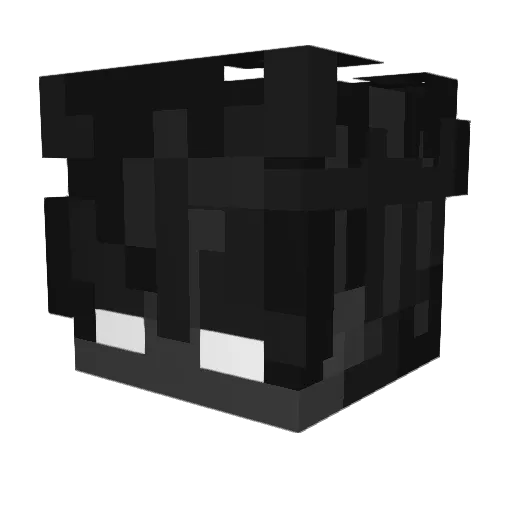 kadyn159 Minecraft avatar head, 3D render
