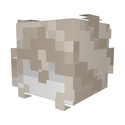 kael_pssm Minecraft avatar head, 3D render