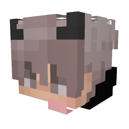 kaeln9 Minecraft avatar head, 3D render