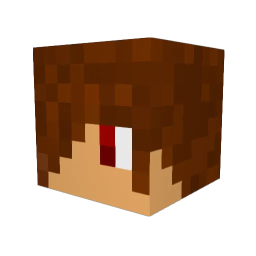 kaelyn1243 Minecraft avatar head, 3D render