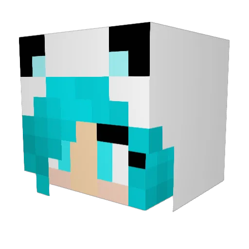 kaelynnae Minecraft avatar head, 3D render