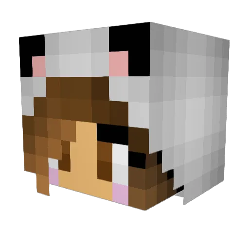 kaerari Minecraft avatar head, 3D render