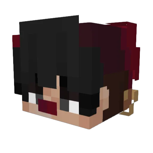 kaesezerstoerer Minecraft avatar head, 3D render