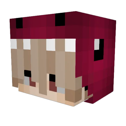 kaevruad Minecraft avatar head, 3D render