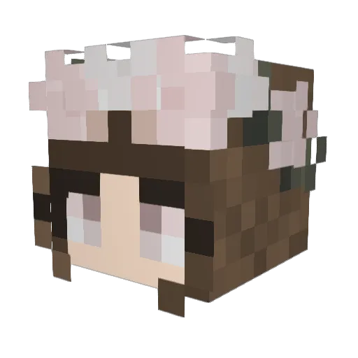 kafibean Minecraft avatar head, 3D render