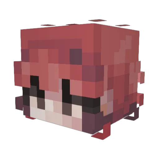kafke Minecraft avatar head, 3D render