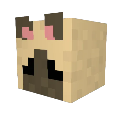 kagei666 Minecraft avatar head, 3D render