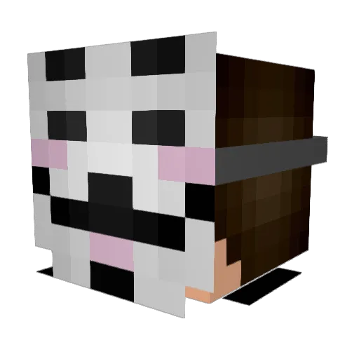 kahootplayer69 Minecraft avatar head, 3D render