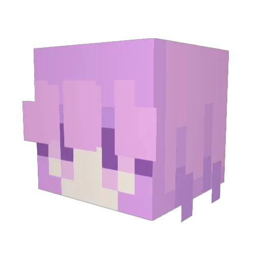 kaia_bee Minecraft avatar head, 3D render