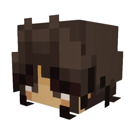 kaicchu Minecraft avatar head, 3D render