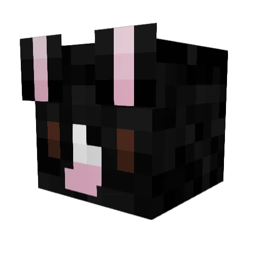 kaicolate Minecraft avatar head, 3D render
