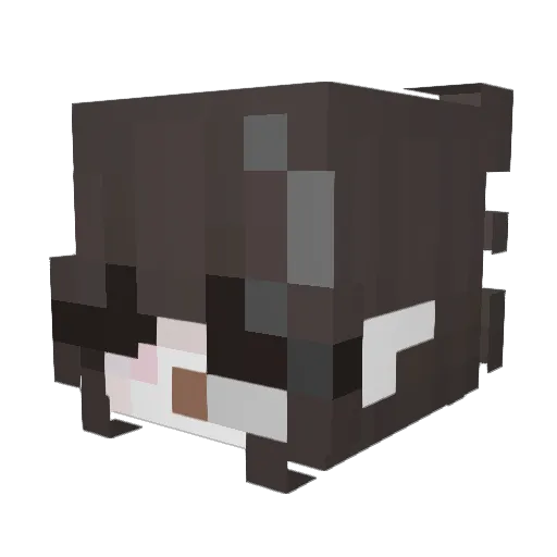 kaidaaa777 Minecraft avatar head, 3D render