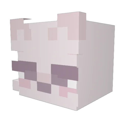 kaiden2125 Minecraft avatar head, 3D render