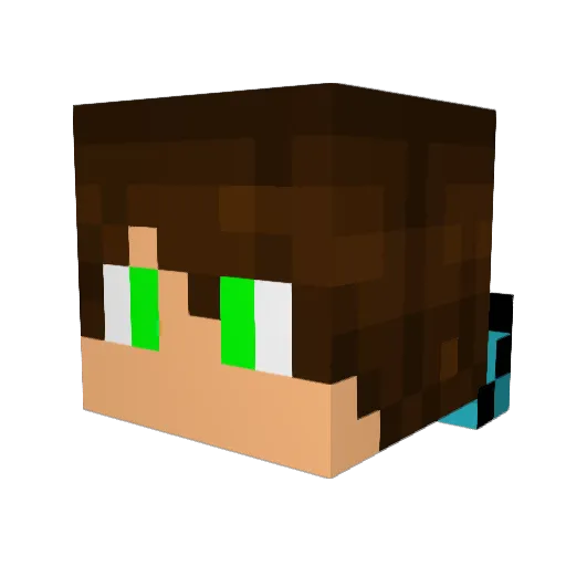 kaidenkcat Minecraft avatar head, 3D render