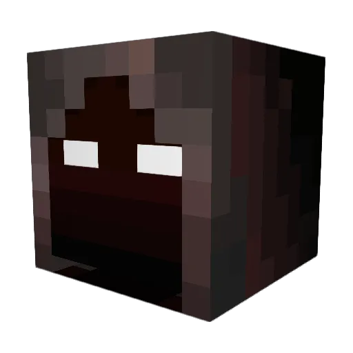 kaidenw1 Minecraft avatar head, 3D render